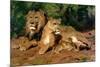 The Lions at Home, 1881-Rosa Bonheur-Mounted Giclee Print