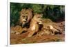 The Lions at Home, 1881-Rosa Bonheur-Framed Giclee Print