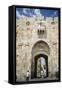 The Lions Gate in the Old City, UNESCO World Heritage Site, Jerusalem, Israel, Middle East-Yadid Levy-Framed Stretched Canvas