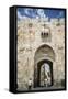 The Lions Gate in the Old City, UNESCO World Heritage Site, Jerusalem, Israel, Middle East-Yadid Levy-Framed Stretched Canvas