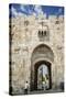 The Lions Gate in the Old City, UNESCO World Heritage Site, Jerusalem, Israel, Middle East-Yadid Levy-Stretched Canvas