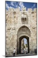 The Lions Gate in the Old City, UNESCO World Heritage Site, Jerusalem, Israel, Middle East-Yadid Levy-Mounted Photographic Print