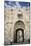 The Lions Gate in the Old City, UNESCO World Heritage Site, Jerusalem, Israel, Middle East-Yadid Levy-Mounted Photographic Print