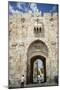 The Lions Gate in the Old City, UNESCO World Heritage Site, Jerusalem, Israel, Middle East-Yadid Levy-Mounted Photographic Print