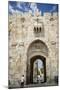 The Lions Gate in the Old City, UNESCO World Heritage Site, Jerusalem, Israel, Middle East-Yadid Levy-Mounted Photographic Print