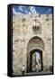 The Lions Gate in the Old City, UNESCO World Heritage Site, Jerusalem, Israel, Middle East-Yadid Levy-Framed Stretched Canvas