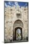 The Lions Gate in the Old City, UNESCO World Heritage Site, Jerusalem, Israel, Middle East-Yadid Levy-Mounted Photographic Print