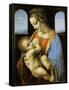 The Litta Madonna, 1490-Leonardo da Vinci-Framed Stretched Canvas