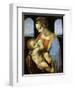 The Litta Madonna, 1490-Leonardo da Vinci-Framed Giclee Print