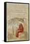 The Little Black Boy, from Songs of Innocence (Bindman 222)-William Blake-Framed Stretched Canvas