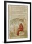 The Little Black Boy, from Songs of Innocence (Bindman 222)-William Blake-Framed Giclee Print