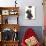 The Little Black Jacket-Bridget Davies-Giclee Print displayed on a wall