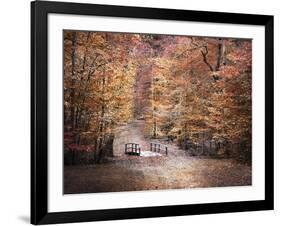 The Little Blue Bridge-Jai Johnson-Framed Giclee Print