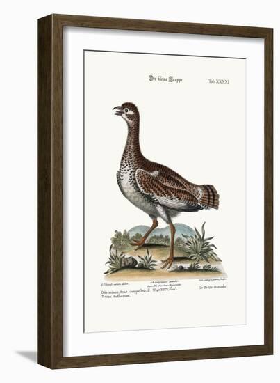 The Little Bustard, 1749-73-George Edwards-Framed Giclee Print