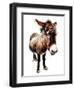 The Little Donkey on White, 2020, (Pen and Ink)-Mike Davis-Framed Giclee Print