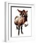 The Little Donkey on White, 2020, (Pen and Ink)-Mike Davis-Framed Giclee Print