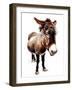 The Little Donkey on White, 2020, (Pen and Ink)-Mike Davis-Framed Giclee Print