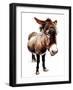 The Little Donkey on White, 2020, (Pen and Ink)-Mike Davis-Framed Giclee Print