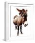 The Little Donkey on White, 2020, (Pen and Ink)-Mike Davis-Framed Giclee Print