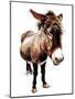 The Little Donkey on White, 2020, (Pen and Ink)-Mike Davis-Mounted Giclee Print