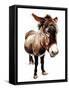 The Little Donkey on White, 2020, (Pen and Ink)-Mike Davis-Framed Stretched Canvas