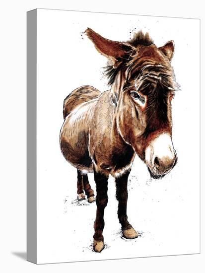 The Little Donkey on White, 2020, (Pen and Ink)-Mike Davis-Stretched Canvas