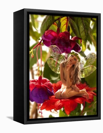 The Little Elf On A Flower In A Fairy Garden-Lilun-Framed Stretched Canvas