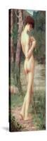 The Little Fisherman-Pierre Puvis de Chavannes-Stretched Canvas