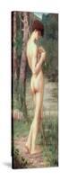 The Little Fisherman-Pierre Puvis de Chavannes-Stretched Canvas