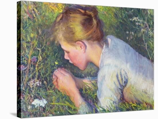 The Little Flowers of the Field, 1895-George Clausen-Stretched Canvas