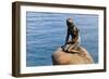 The Little Mermaid, Copenhagen, Denmark-Edward Ladell-Framed Giclee Print