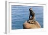 The Little Mermaid, Copenhagen, Denmark-Edward Ladell-Framed Giclee Print