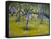 The Little Pear Tree, 2005-Joan Thewsey-Framed Stretched Canvas