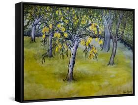 The Little Pear Tree, 2005-Joan Thewsey-Framed Stretched Canvas