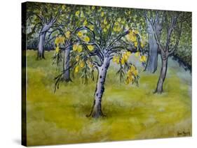 The Little Pear Tree, 2005-Joan Thewsey-Stretched Canvas