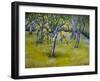 The Little Pear Tree, 2005-Joan Thewsey-Framed Giclee Print