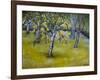 The Little Pear Tree, 2005-Joan Thewsey-Framed Giclee Print