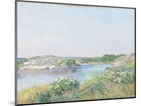 The Little Pond, Appledore, 1890-Childe Hassam-Mounted Giclee Print