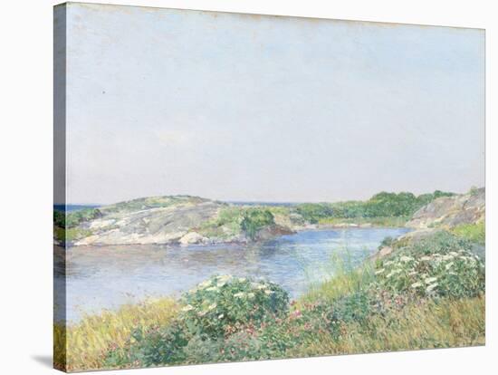 The Little Pond, Appledore, 1890-Childe Hassam-Stretched Canvas