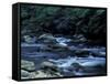 The Little River, Great Smoky Mountains National Park, Tennessee, USA-William Sutton-Framed Stretched Canvas