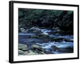 The Little River, Great Smoky Mountains National Park, Tennessee, USA-William Sutton-Framed Photographic Print