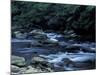 The Little River, Great Smoky Mountains National Park, Tennessee, USA-William Sutton-Mounted Photographic Print