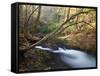 The Little River, Great Smoky Mountains National Park, Tn-Ian Shive-Framed Stretched Canvas