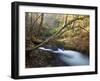 The Little River, Great Smoky Mountains National Park, Tn-Ian Shive-Framed Photographic Print