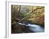 The Little River, Great Smoky Mountains National Park, Tn-Ian Shive-Framed Photographic Print