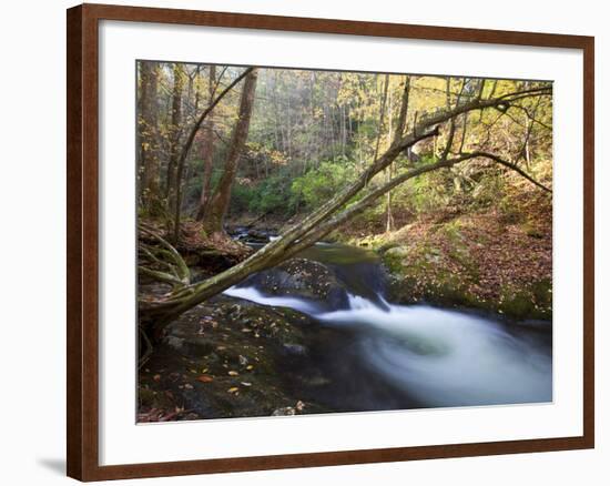 The Little River, Great Smoky Mountains National Park, Tn-Ian Shive-Framed Photographic Print