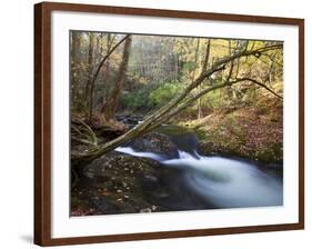 The Little River, Great Smoky Mountains National Park, Tn-Ian Shive-Framed Photographic Print