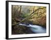 The Little River, Great Smoky Mountains National Park, Tn-Ian Shive-Framed Photographic Print