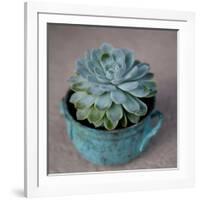 The Little Succulent-Susan Bryant-Framed Photographic Print