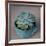 The Little Succulent-Susan Bryant-Framed Photographic Print